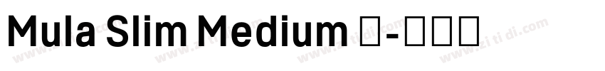 Mula Slim Medium 中字体转换